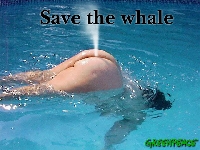 SaveTheWhales.jpg