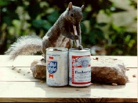 SquirlWithBeer.jpg