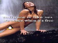 linuxchick008.jpg