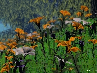 inbloom.jpg
