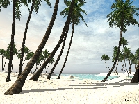 isla11600.jpg