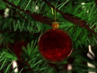 ornament.png